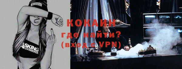 стаф Ростов
