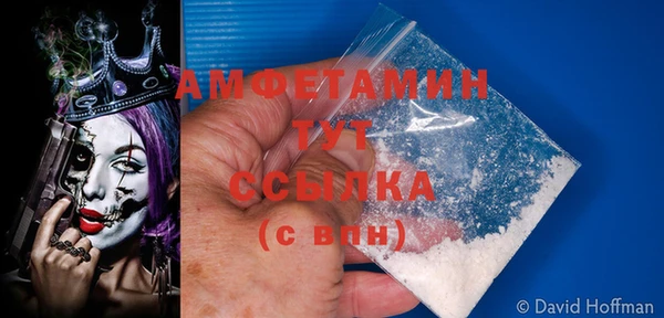 соль ск Абаза