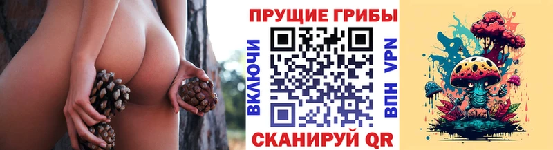omg сайт  Балахна  Галлюциногенные грибы Psilocybe 